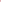Pink Pearl - U4031